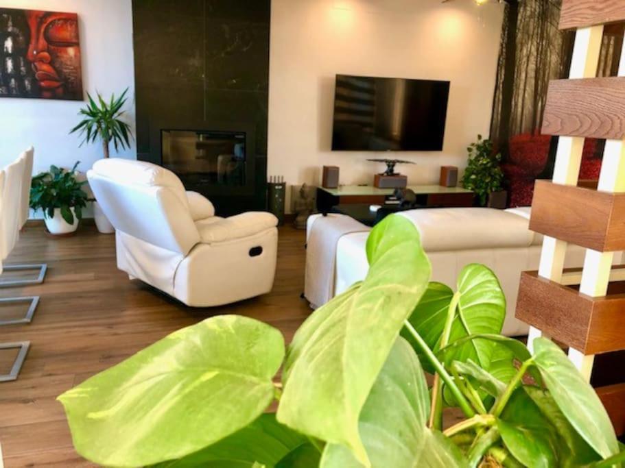 Modern Zen Bali Hotel Puerto Real Buitenkant foto